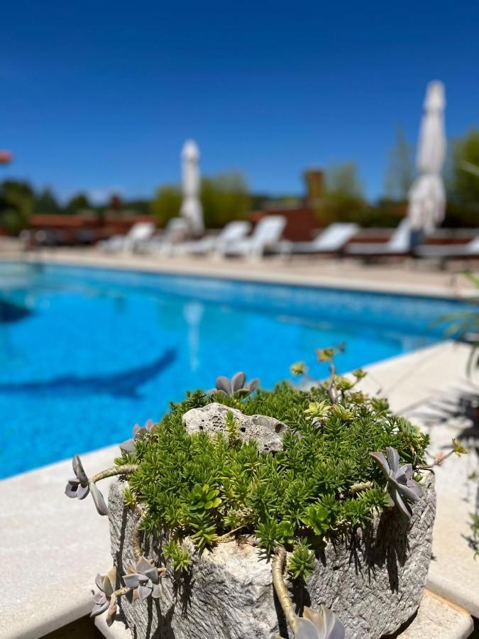 Gorana With Swimming Pool Apartment